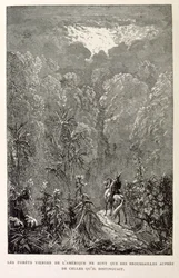 Illustration af amerikansk skov. fra La legende de Croque-Mitaine.