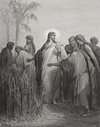 Jesus og hans disciple på kornmarken, illustration fra Dorés 