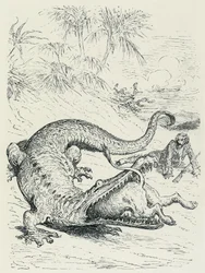 "Münchhausens barons eventyr" (Münchhausen): Den frygtløse baron af Münchhausen forfølges af en løve, som krydser vejen for en stor krokodille, der vil fortære løven. Illustration af Gustave Doré Slutningen af det 19. århundrede.