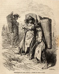 Plukkerne af Xeres. Tegning af Gustave Dore (1832-1883), til illustration af hans rejse til Spanien i 1862, med Ch. Davillier. Indgravering i "" Le tour du monde"", redigeret af Edouard Charton