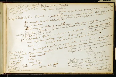 Folio 41 i arbejdsbogen n. 19 Manuskriptside af Gustave Flauberts udkast. Planer for Bouvard og Pecuchet. BHVP.