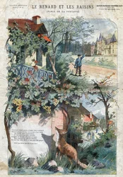 Ræven og druerne. Fabler af Jean de La Fontaine (1621-95).Illustration af Gustave Fraipont (1849 -1923). Privat samling.