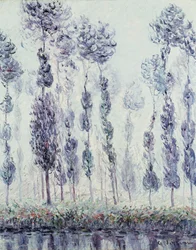 Popler på Eure, 1900