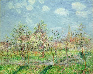 Blomstrende frugthave, l902