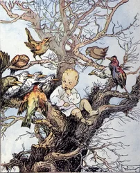 Illustration til "La storia di Peter Pan"", fabel af James Matthew Barrie (JM eller J. M. Barrie)