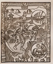 Hyrdekalender - Månedernes arbejde - Juli - Træsnit fra bogen fra 1496 trykt af Guy Marchant (Guido Mercator) i Troyes - Hay, la coupe des hay - Gravering sur bois i "" Le grand Calendrier et compost des shepherds"" -