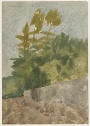 Træer (akvarel, gouache og blyant på papir)