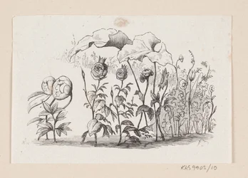 Illustration til "Den lille Idas Blomster" i H.C. Andersen, "Eventyr og Historier", Bind 1