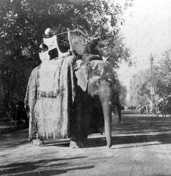 En elefant uden for banegården i Delhi, Indien, 1900-tallet.