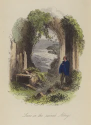 Illustration til Lewis Arundel eller The Railroad of Life af Frank E Smedley (farvet gravering)