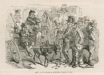 Den store taxistrik: Enhver bekvemmelighed er bedre end ingen