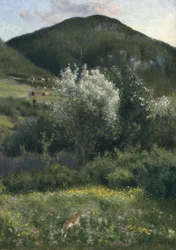 Fuglekirsebær