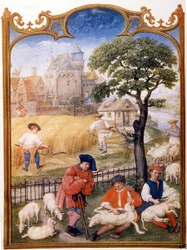 Markarbejde, klippe får og bønder slår hvede. Miniaturebillede tildelt til Memling. Tallerken tegnet fra Breviaire Grimani fra det 15. århundrede. Biblioteca Marciana, venise.