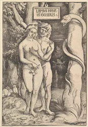 Adam og Eva, 1511.