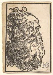 Hovedet af en skægget mand, ca. 1518-19.