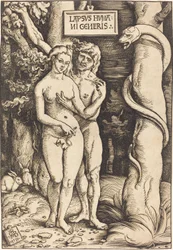 Adam og Eva, 1511