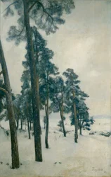 Fra Bogstad-vand