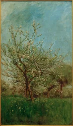 Blomstrende træer Uerdenbach