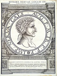 Nerva, illustration fra 