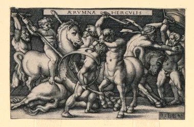 Hercules kæmper mod kentaurerne
