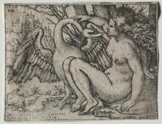 Leda og svanen, 1548.