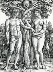 Adams og Evas fald, ca. 1525-27