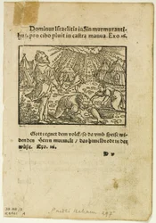 Manna-regnen fra Biblische Historien Künstlich fürgemalt, planche fem fra Træsnit fra bøger fra det XVI århundrede