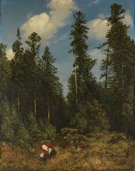Schwarzwaldgraner (bærplukkere)