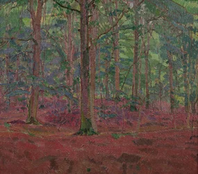 En bøgeskov