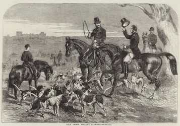 HKH Prins Alberts Harrier