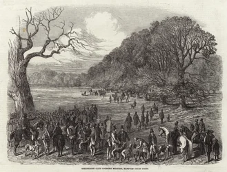Spelthorne Club Coursing Meeting