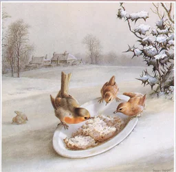 Robins and Wrens: Vintermorgenmad, postkort