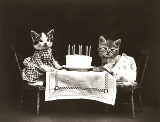 Serie af killinger: Fødselsdagsfest, ca. 1914 (sølvtryk)
