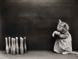 Serien Kitties: Bowling, ca. 1914 (sølvtryk)