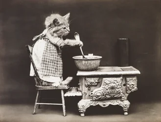 Serie af killinger: Cook at the Stove, ca. 1914 (sølvtryk)