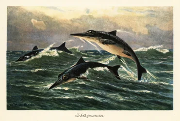 Uddøde ichthyosaurer hopper over havet.