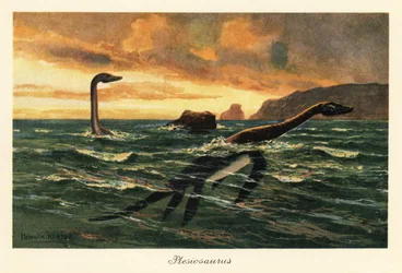 Plesiosaurus dolichhodeirus i havet.