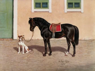 Hest, sort hest efter H. Sperling