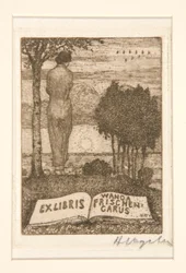 Bogplader