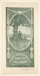 Bogplader