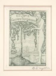 Bogplader