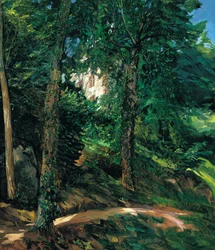Slotsområde i Lichtenberg i Odenwald
