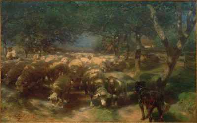 Flok får med hund