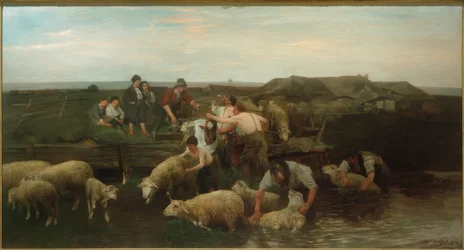 Fårevask
