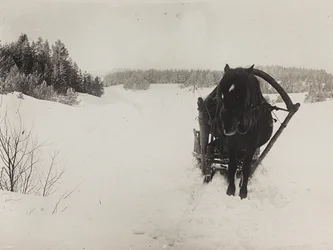 Første Verdenskrig: 