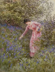 Gathering Bluebells (wc med kropsfarve på papir)