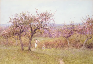 Forår i Dorset