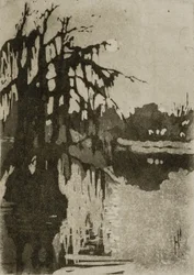 Cypres-træer