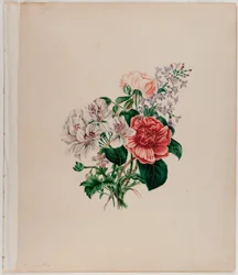 St. Leon Bouquet, ca. 1842 (akvarel på papir)