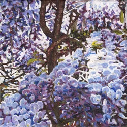 Blå Wisteria, 2012